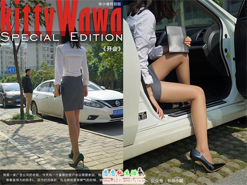 [kittyWawa袜小喵故事集]KTS005《开会》【89P/575M】