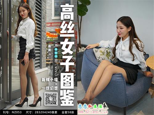 [袜小喵]高丝女子图鉴 袜小喵×一丝幻想 NZ.053 ViVi【59P/80M】